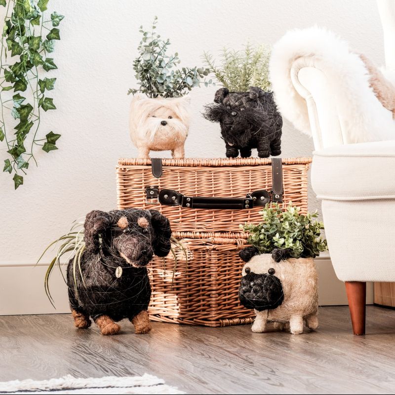 Coco Coir Animal Planter - Schnauzer image