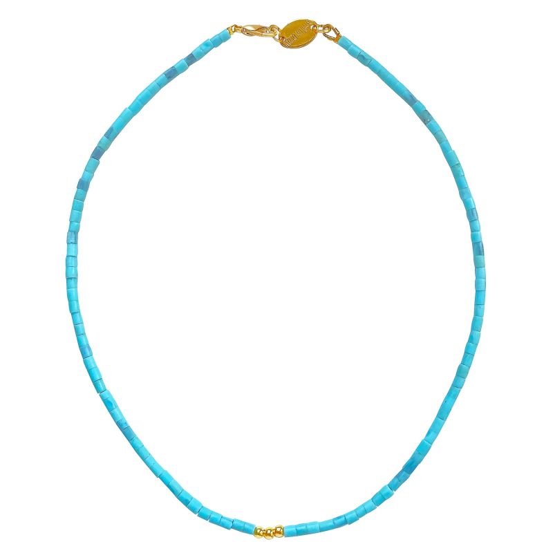 Turquoise Necklace Florida image