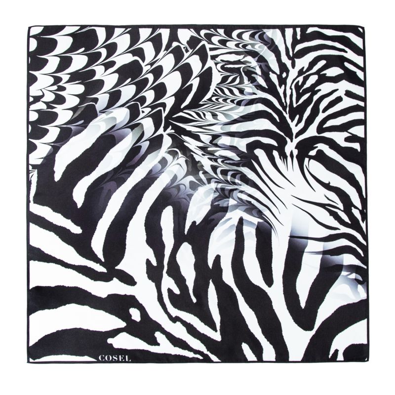 Scarf Zebra image