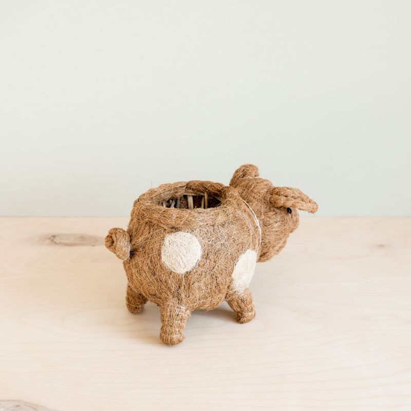 Coco Coir Animal Planter Country Pig image