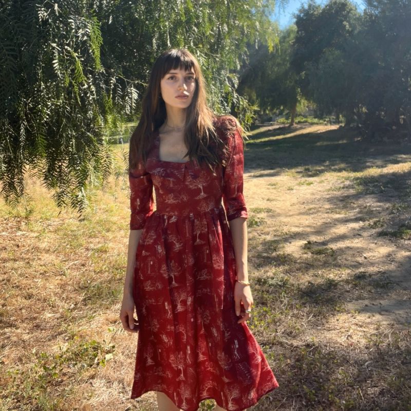 Marisol Dress With Portrait Neckline In Ruby Red & Alabaster Toile Cotton image