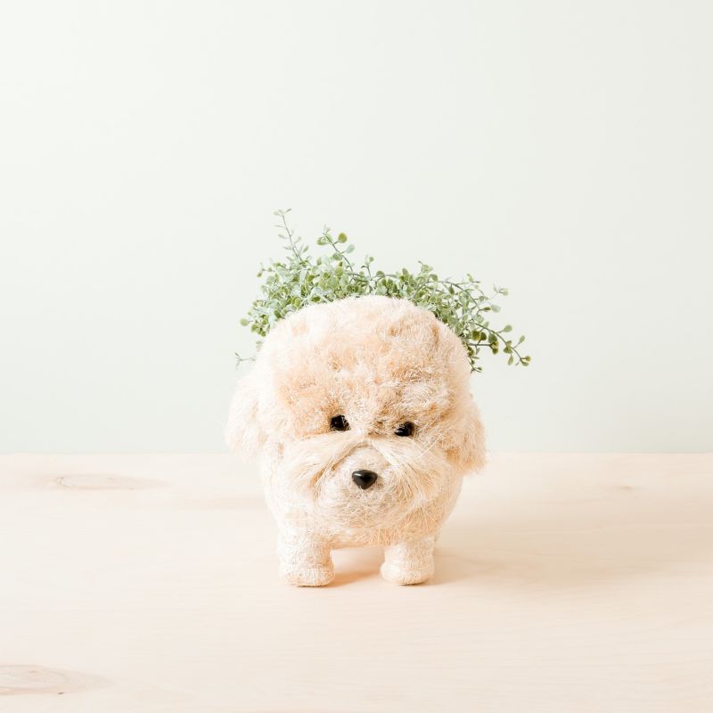 Poodle Planter - Coco Coir Pots Likhâ image