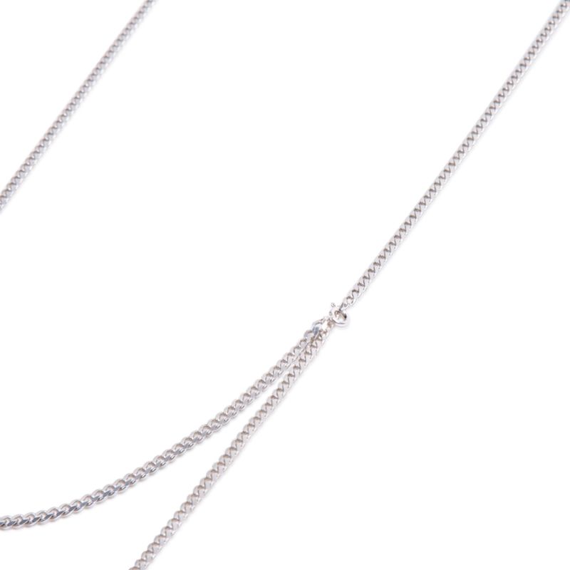 Long Flat Chain Necklace image