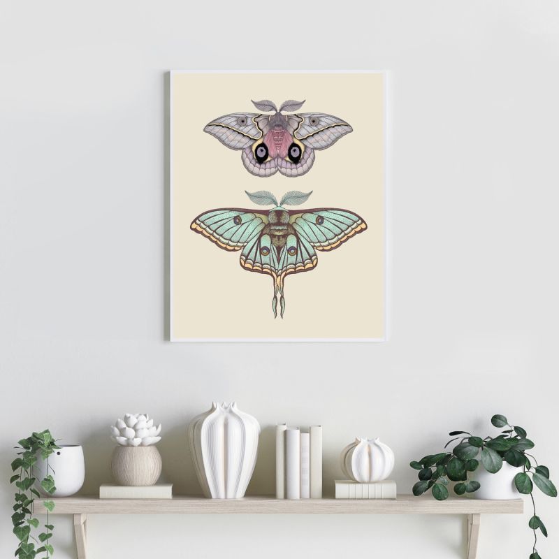 Antique Luna & Automeris Frankae Moths Fine Art Print A4 image