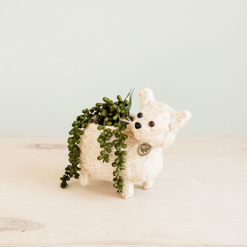 Coco Coir Animal Planter Baby Cat image