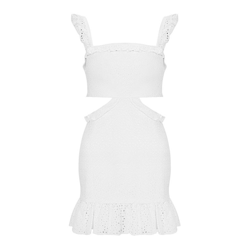 Roselenda Open Back Mini Dress In White image