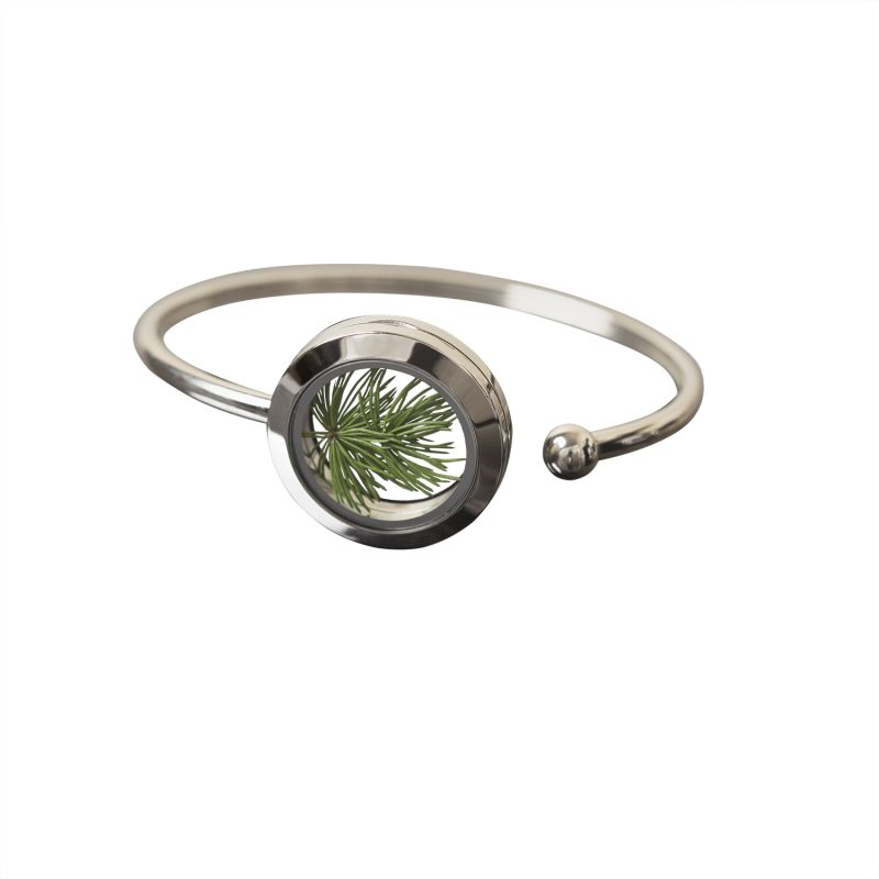 Natural Pine Needless Stainless Steel Bracelet - Forever Young image