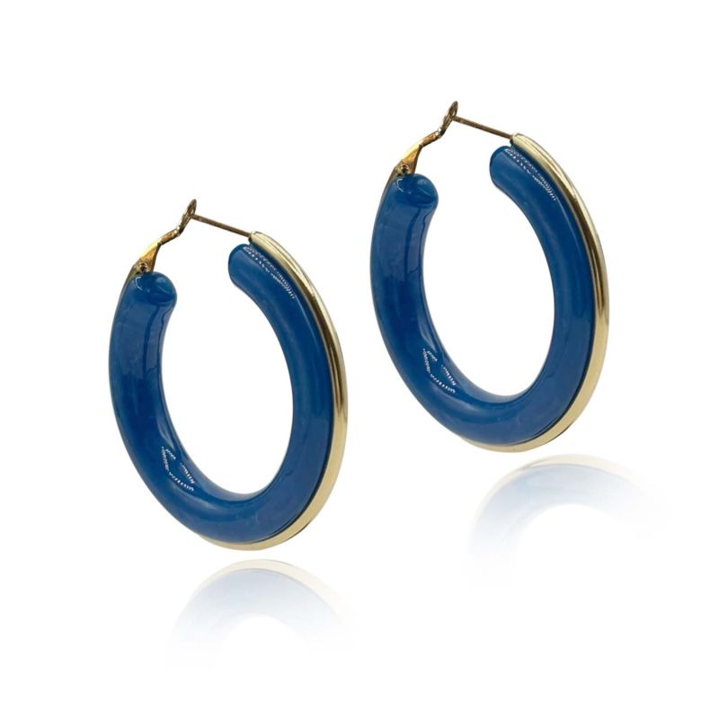 Navy Resin Hoop Earrings With Gold Stripe image