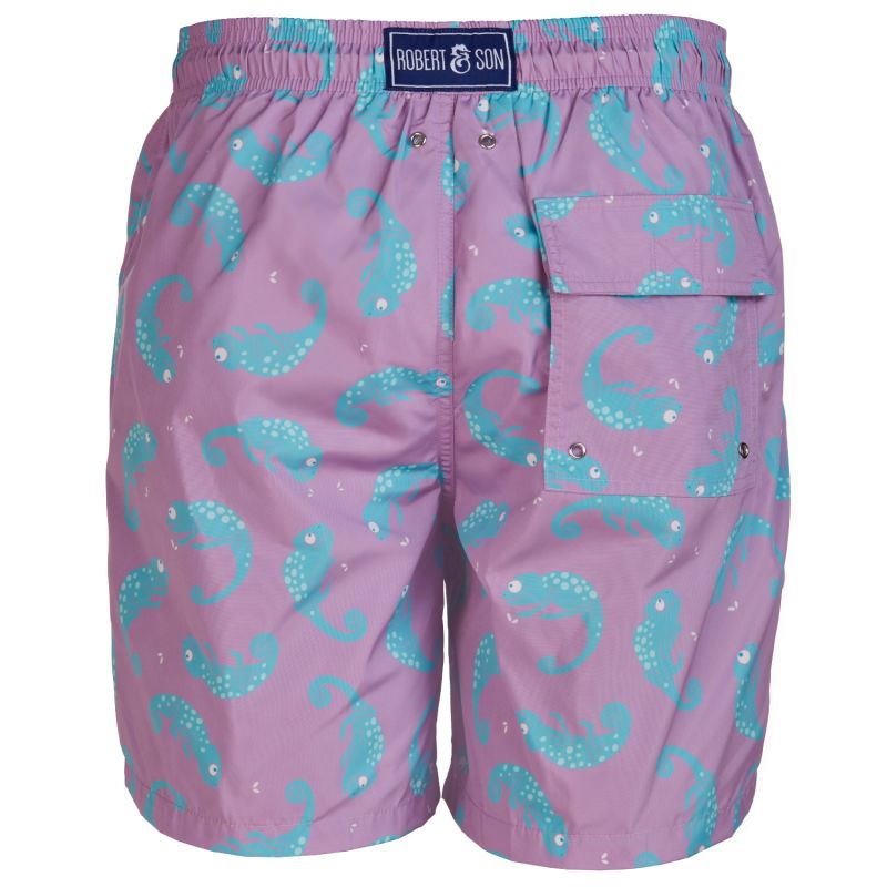 Chameleon Swim Shorts image