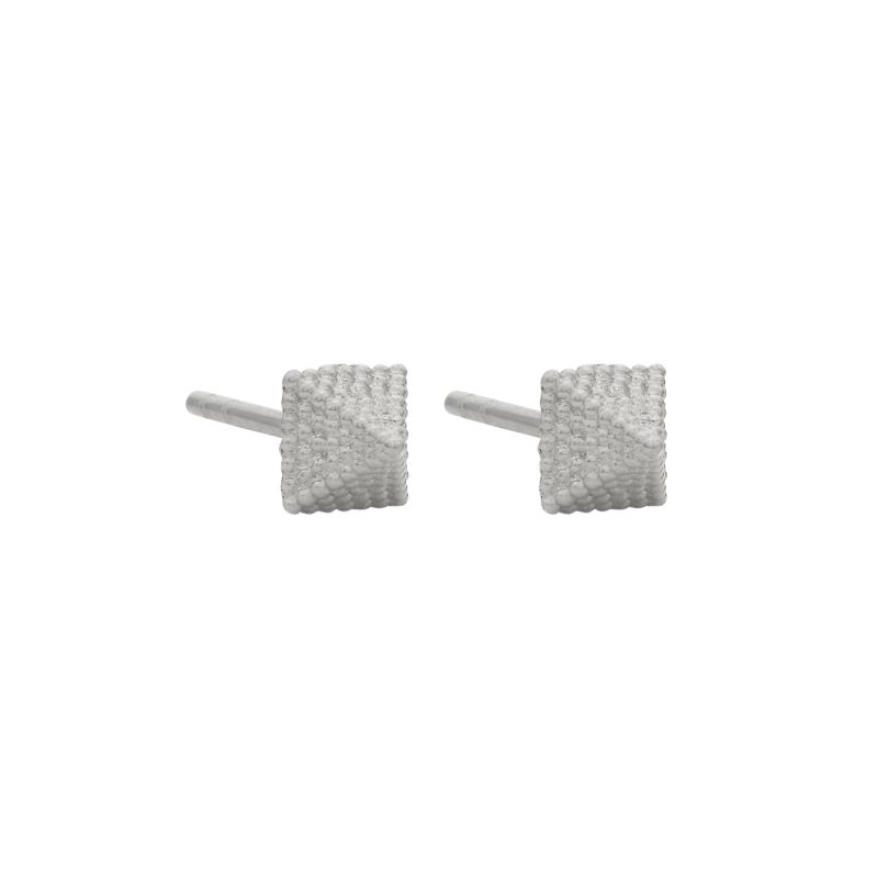 Nina Stud Earrings Silver image