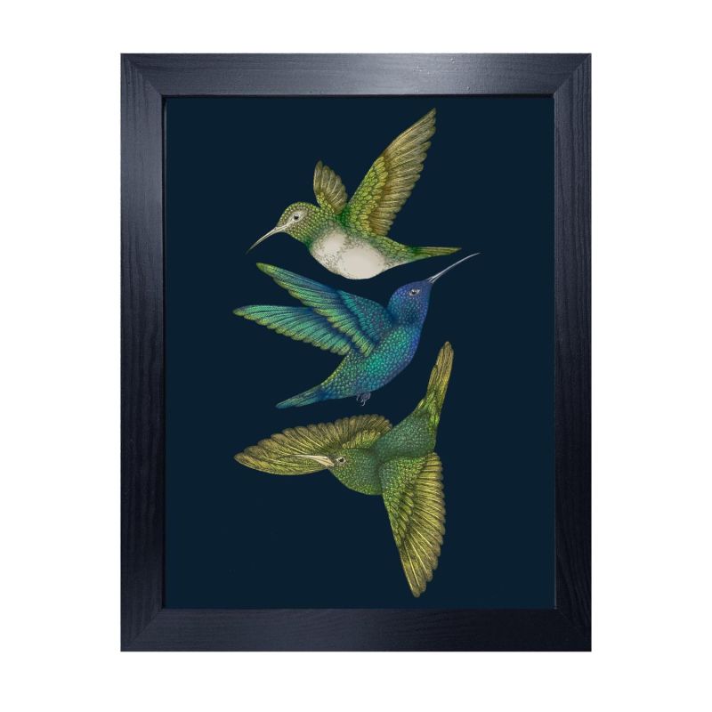 Antique Hummingbirds Iii Indigo Fine Art Print - A3 image