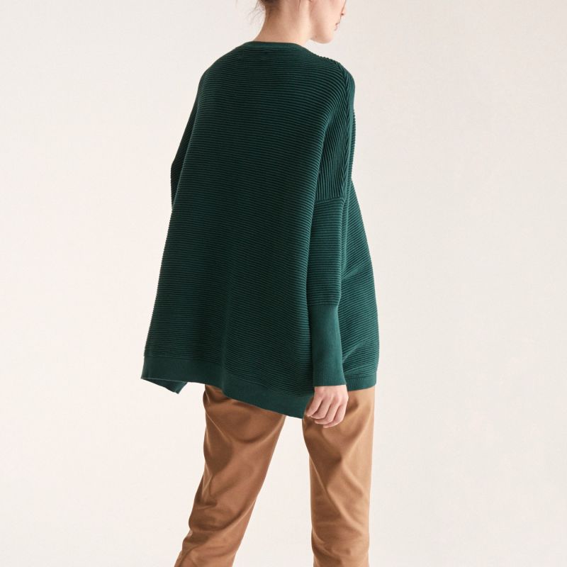 Paisie Ribbed Jumper In Dark Green image