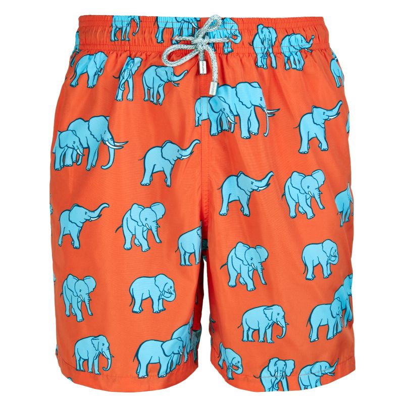 Elephant Swim Shorts image