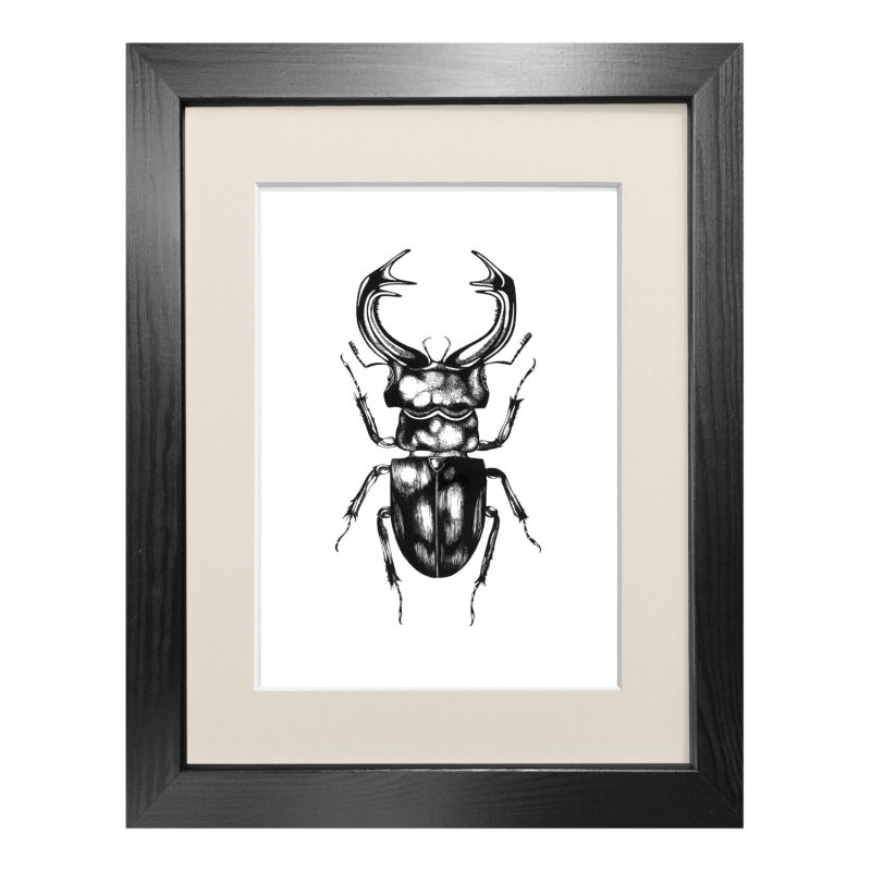 'The Stag Beetle' Fine Art Print A5 image