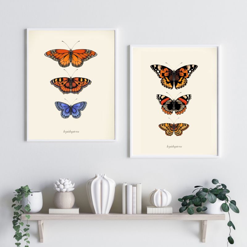 'Antique British Butterflies Ii' Fine Art Print A5 image