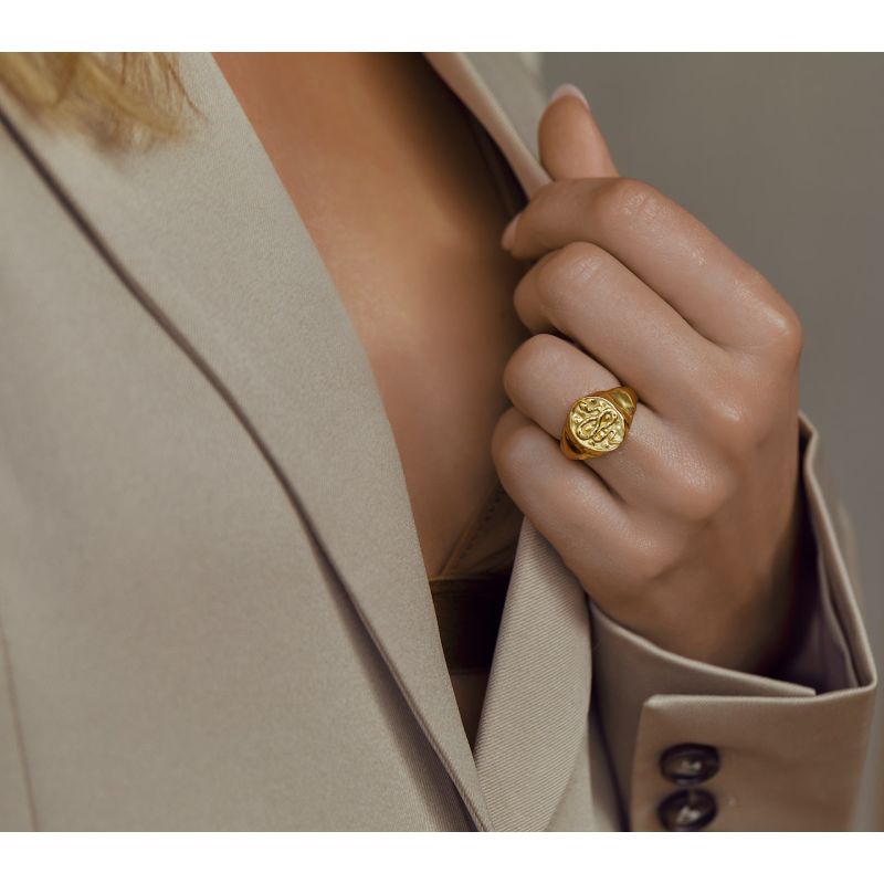 Snake Signet Ring - Gold image