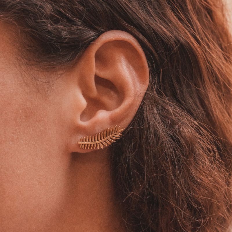 18K Gold Vermeil Palm Leaf Earrings Stud and Ear Climber image