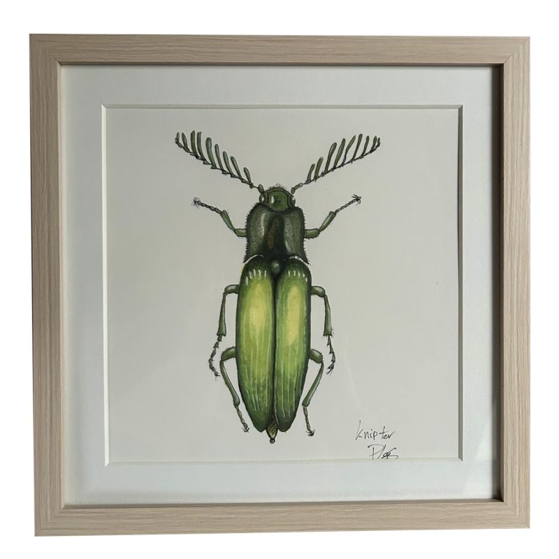 Painting Click Beetle image