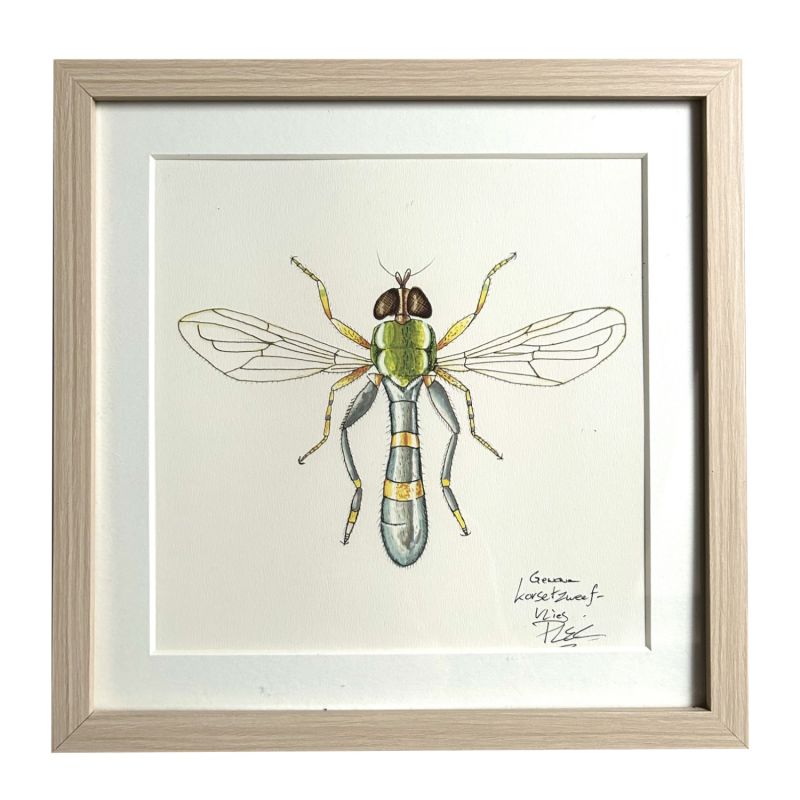 Painting Green Hover Fly image