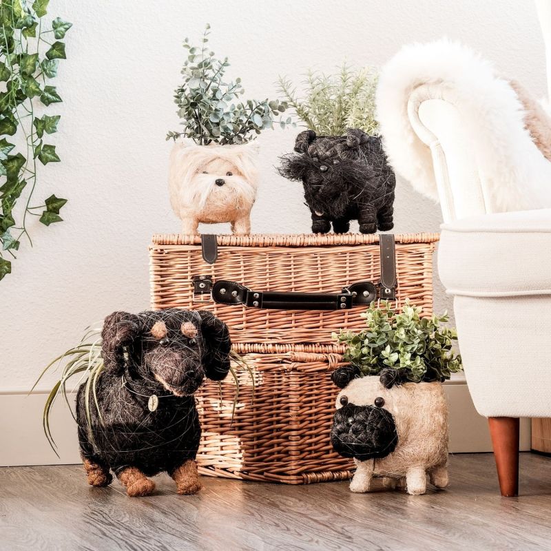 Coco Coir Animal Planter Dachshund image