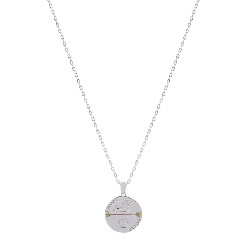 Leo Zodiac Necklace - Silver image