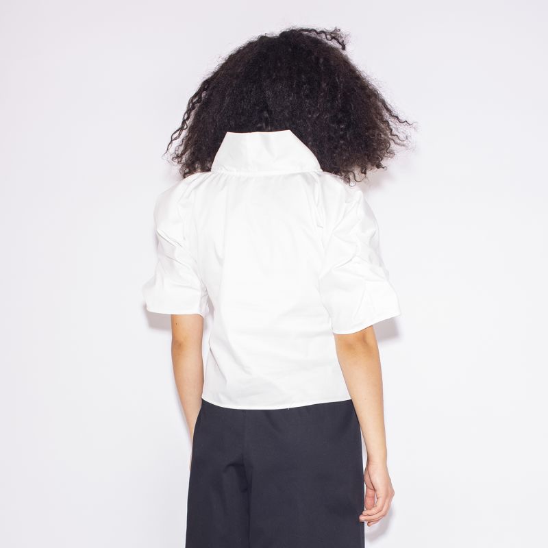 Wide Collar Puff Sleeve Blouse