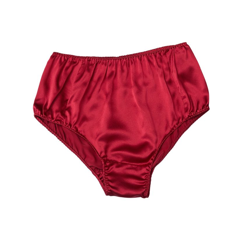 Pure Mulberry Silk French Cut Panties High Waist In Ruby Soft