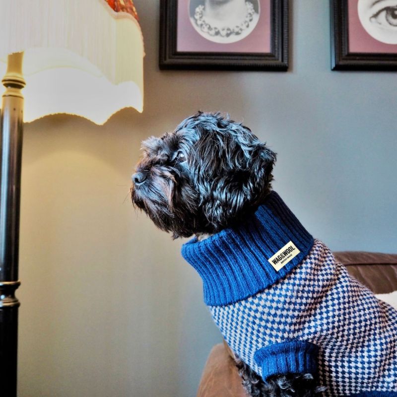 Pure Wool Dog Jumper In Navy Extra Small WAG WOOL Wolf Badger