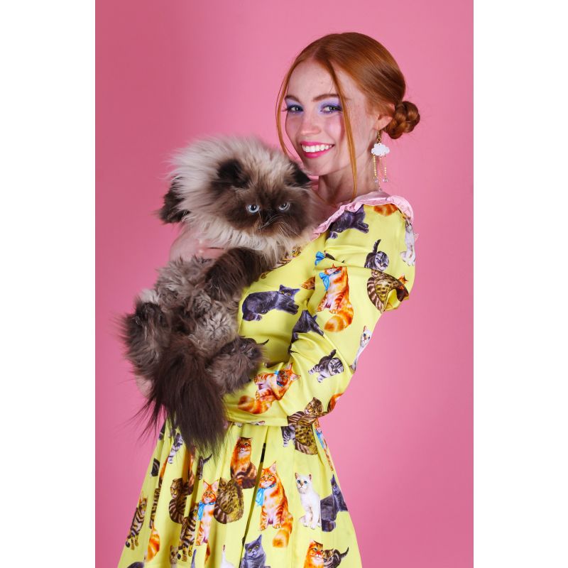 Cattitude Yellow Angelette Dress image