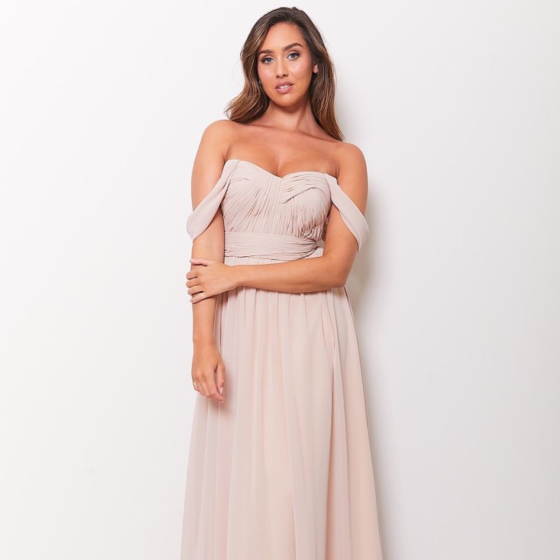 Dion Chiffon Long Evening Dress In Champagne image