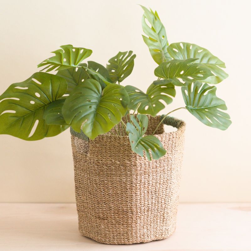 Natural Octagon Basket With Sage Handle - Octagon Basket image