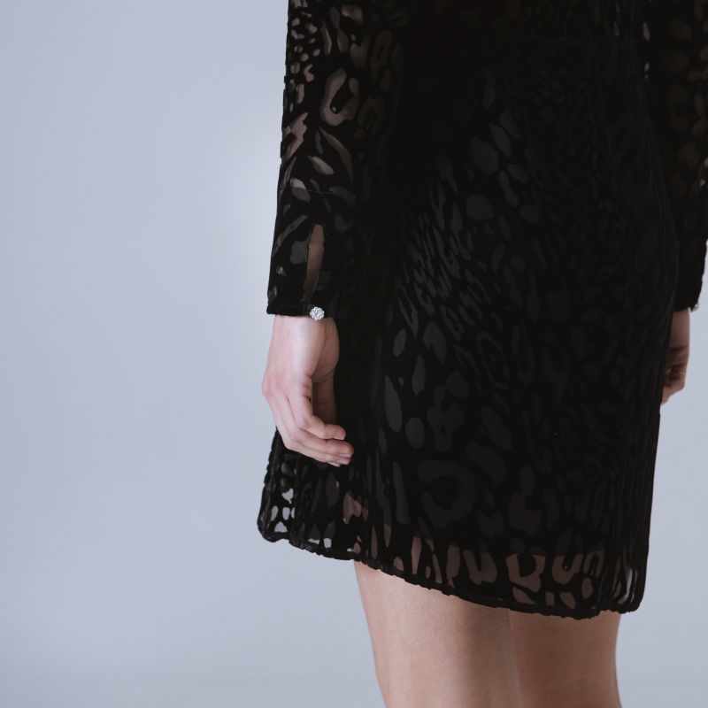 Cambridge Silk Velvet Dress In Leopard Motif image