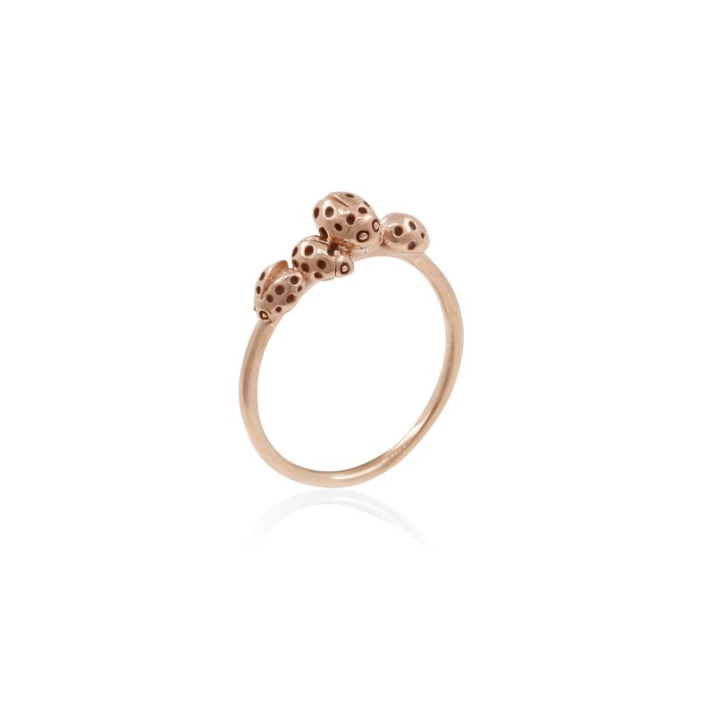 Loveliness Of Ladybirds Ring - Rose Gold image