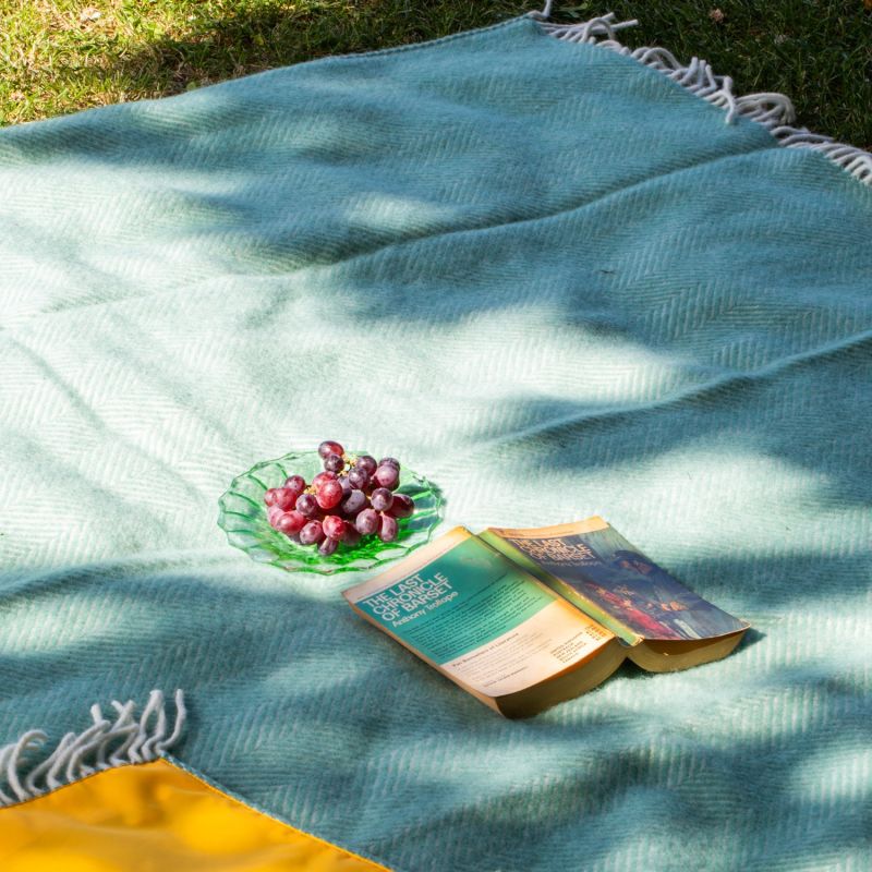 Pure New Wool Waterproof Picnic Blanket Mint Green & Yellow image