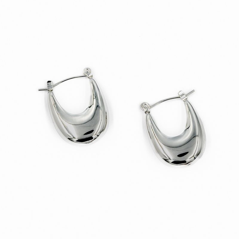 Silver Curve Drop Earrings image