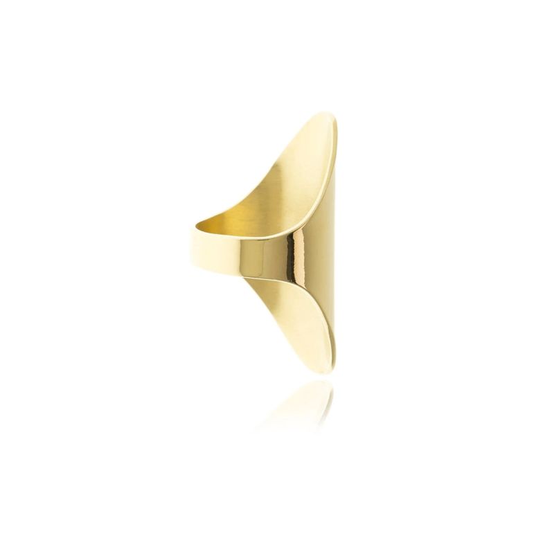 Gold Sidereal Polished Ring image