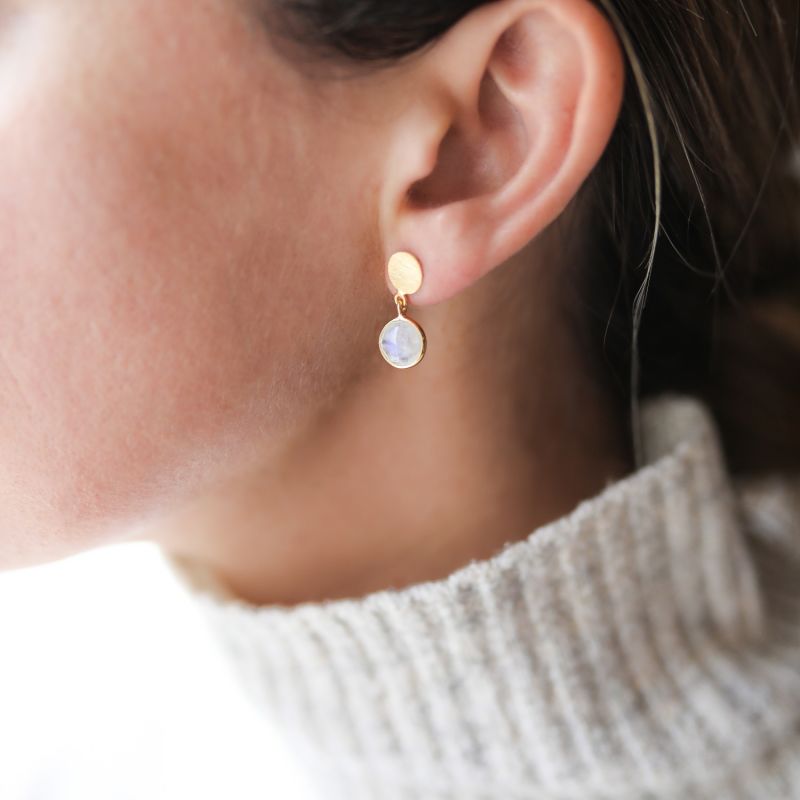 Salina Moonstone & Gold Vermeil Disc Earrings image