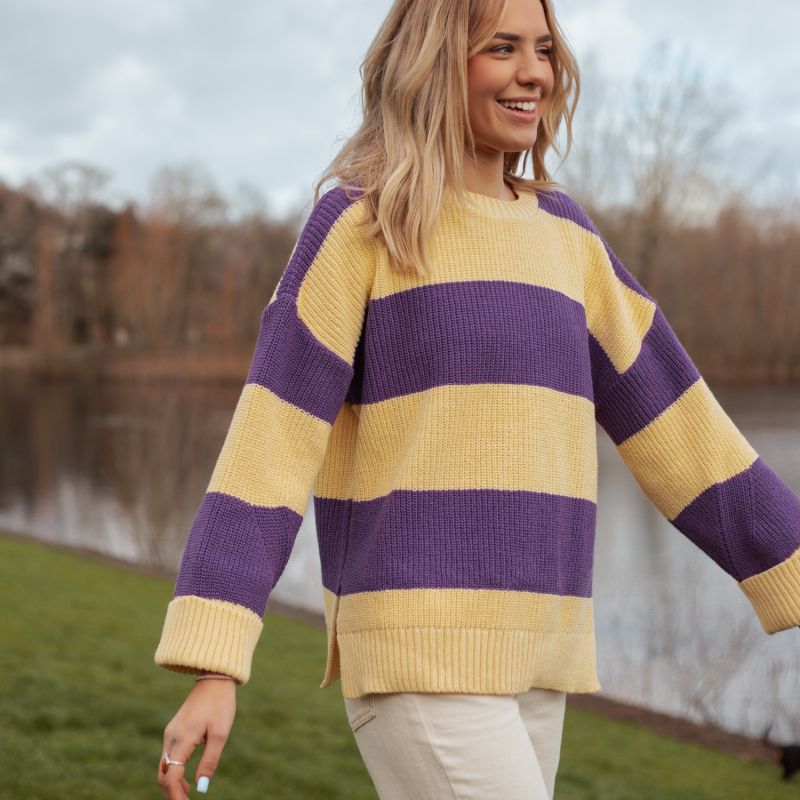 Rhiannon Recycled Cotton Chunky Stripe Jumper - Purple And Yellow image