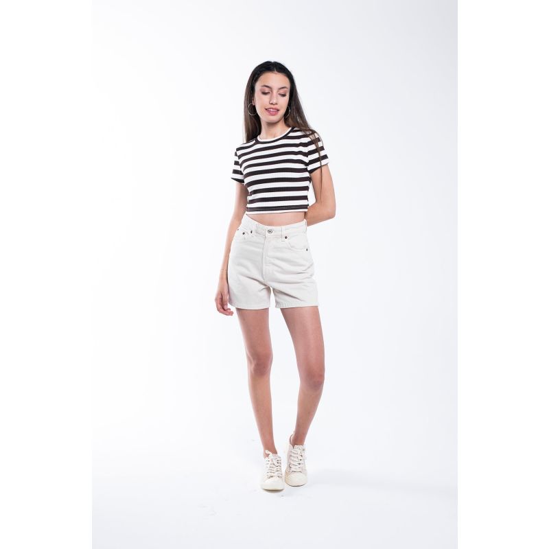 Striped Crop T-Shirt - Brown image