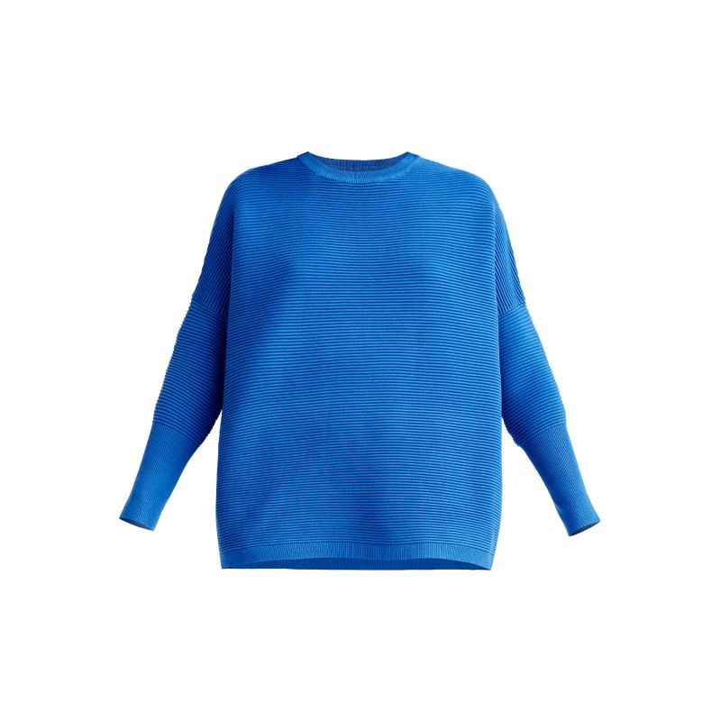 Paisie Ribbed Jumper In Blue image