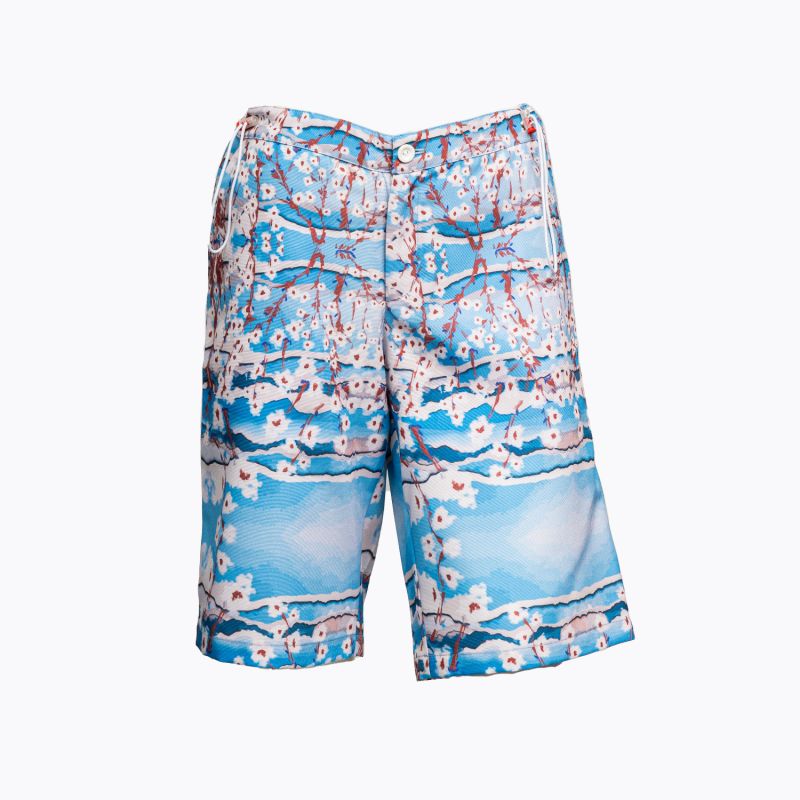 Romanino Shorts In Blue image