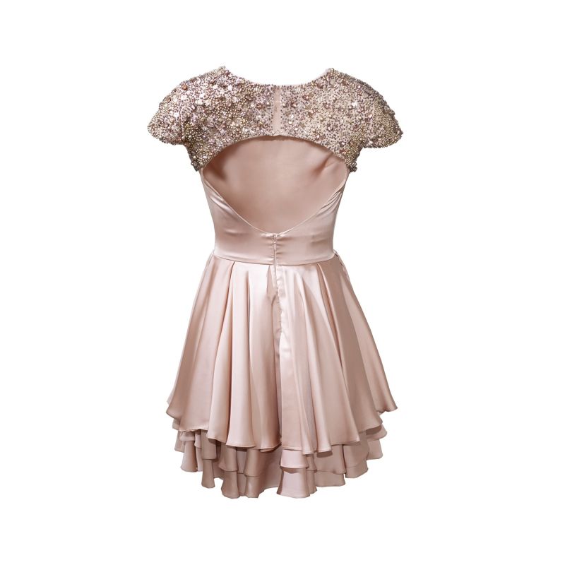 Rose Flare Beaded Mini Dress image