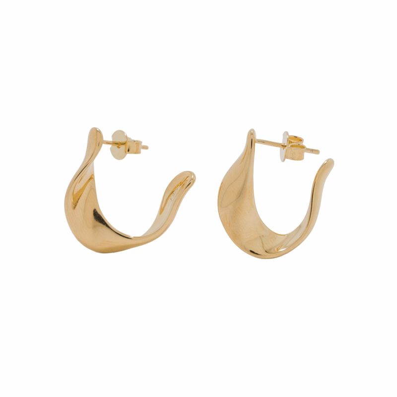 Rosewood Gold Earrings image