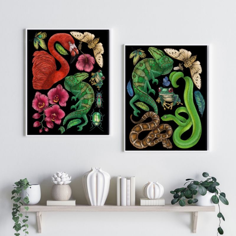 Antique Reptiles & Amphibians - Black Fine Art Print - A3 image