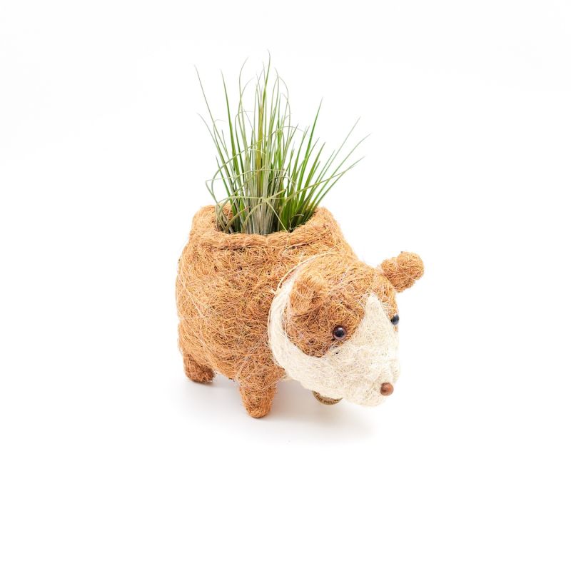 Coco Coir Animal Planter - Baby Corgi image