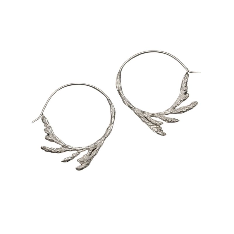 Sacred Cedar Hoop Earrings Sterling Silver image