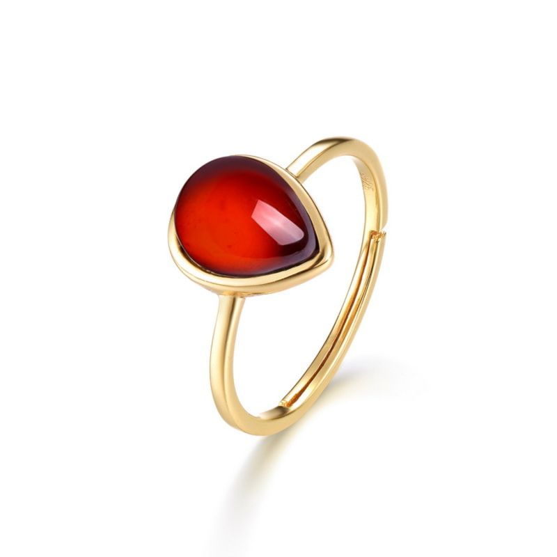 Scarab Gold Vermeil Red Garnet Ring image