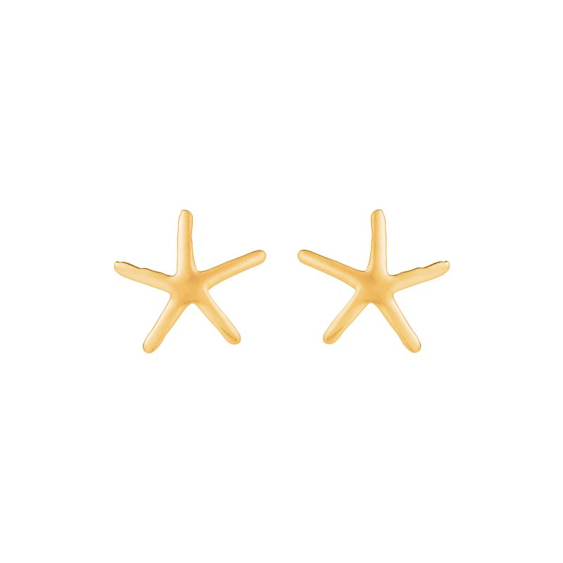 Seba - Star Stud Earrings image