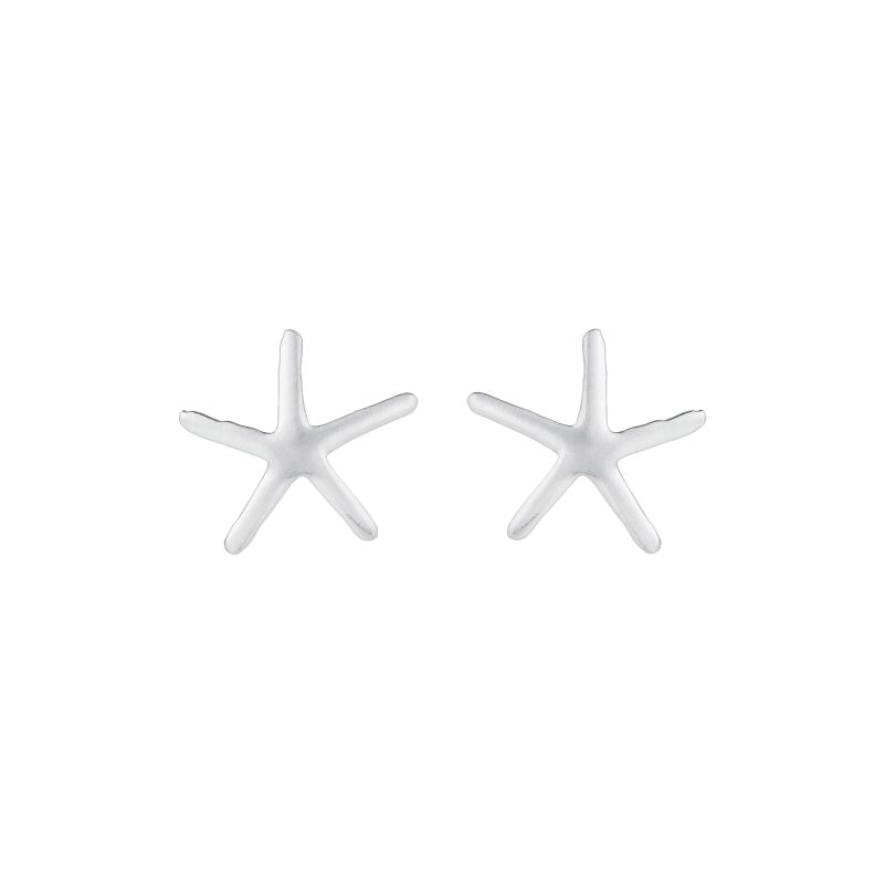 Seba - Star Stud Earrings image