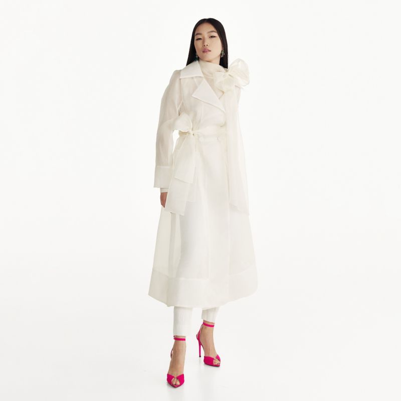 See Through Butter Organza Coat image